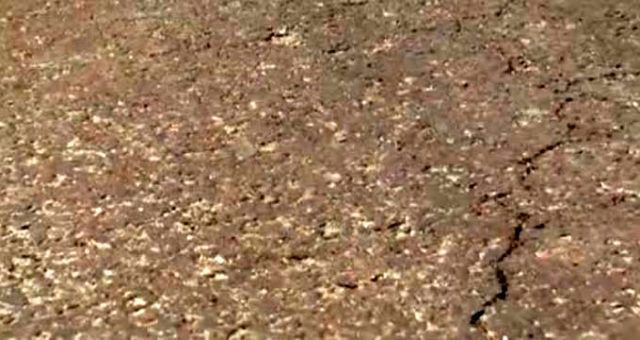 3 günde her yeri istila ettiler! Hangi tür oldukları tespit edilemiyor - Resim: 4