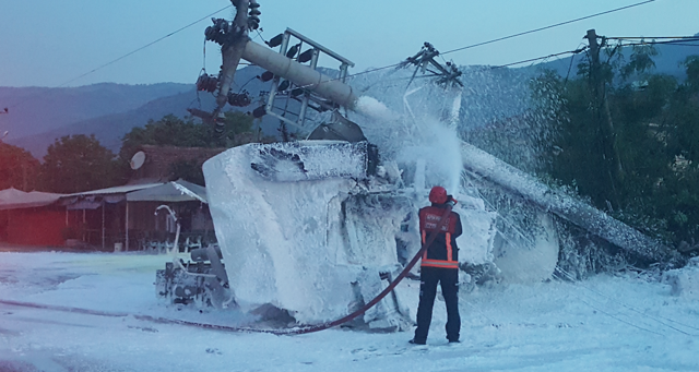 Akaryakıt tankeri arı yüklü kamyonla çarpıştı! Ölü ve yaralılar var - Resim: 1