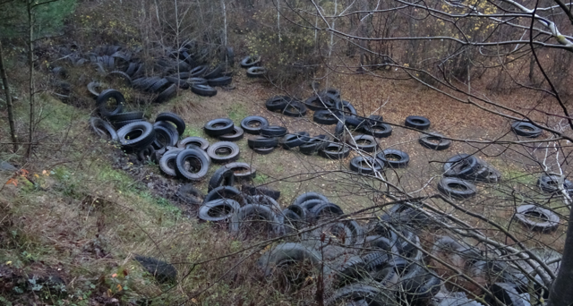 Şile'de orman katliamı! Yüzlerce otomobil lastiği bırakıldı - Resim: 4