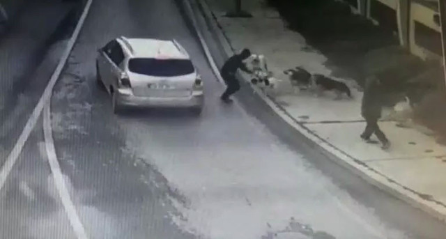 Başıboş köpekler bir kişiyi parçalayacaktı - Resim: 0