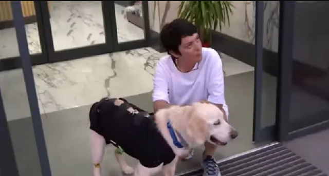 Ezgi Mola'nın Masumlar Apartmanı'ndan sonra psikolojisi mi bozuldu? Son halini gören hayranları dehşete düşüyor - Resim: 0