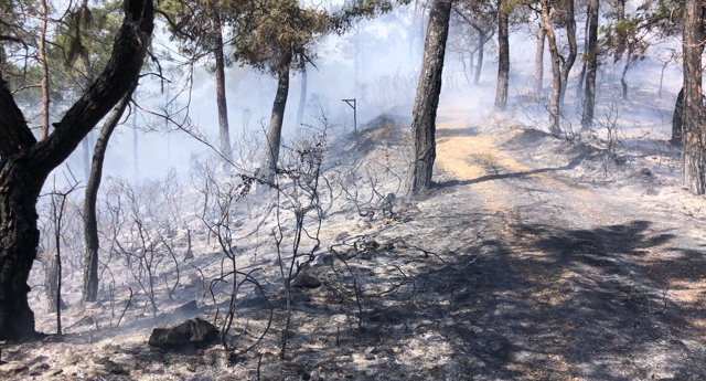 Fethiye'de orman yangını paniği Kabus geri döndü Yerleşim yerlerine yaklaştı - Resim: 0