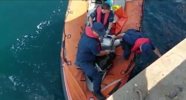 Bakan Soylu duyurdu! Tekirdağ Limanı'nda operasyon: Yüzlerce kilo ele geçirildi! - Resim: 1