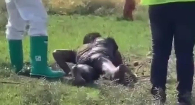 Şanlıurfa'da büyük panik! Kuduz hastası hastaneden kaçtı olanlar oldu - Resim: 1