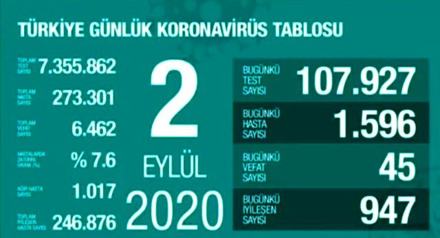 Sağlık Bakanlığı Toplum Bilimleri Kurulu üyesi Prof İlhan: Yüzde yüze yakın artış var - Resim: 2