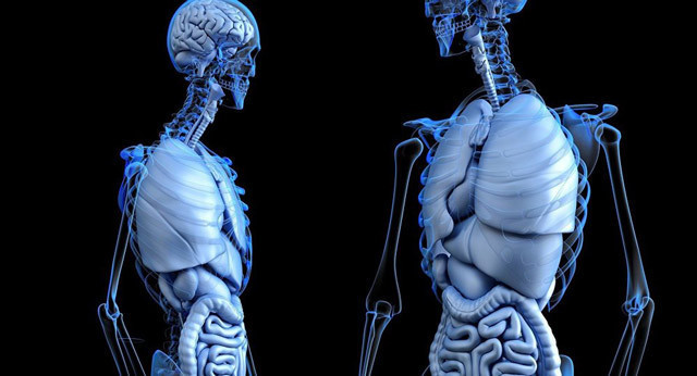 İnsan vücudunda keşfedildi! Meğer herkeste bulunuyormuş - Resim: 1