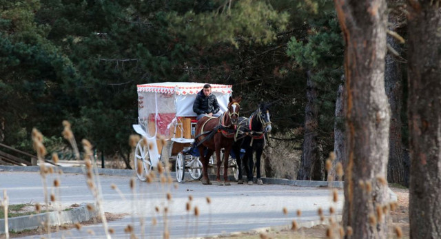 İstanbul'dan sonra Bolu'ya da sıçradı! Vali açıkladı Abant'ta 8 at karantinaya alındı - Resim: 0