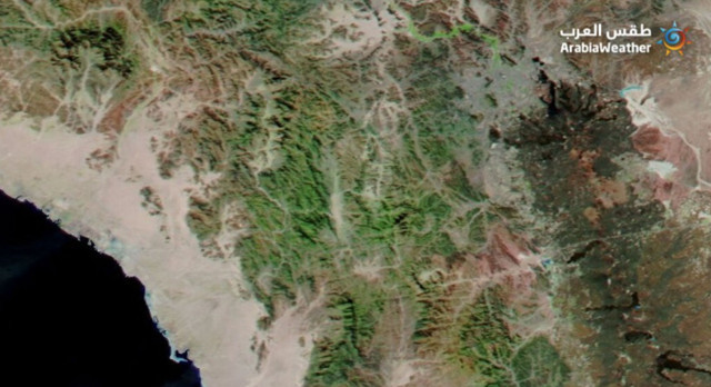 Mekke'de son yağışların ardından dağların yeşillendiği iddiası doğru çıktı - Resim: 0