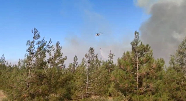Yangına müdahale ederken dumandan etkilenen orman memuru kurtarılamadı - Resim: 0