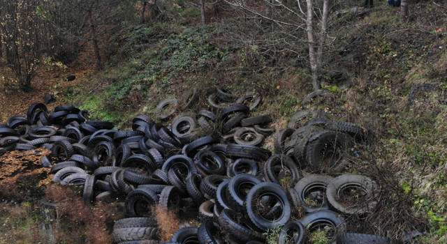 Şile'de orman katliamı! Yüzlerce otomobil lastiği bırakıldı - Resim: 1