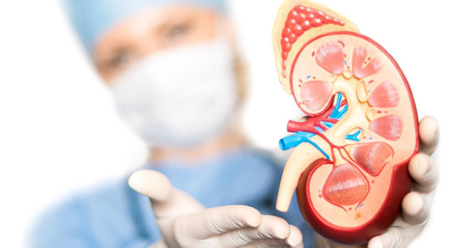 İki tane böbreğiniz olduğuna emin misiniz? Bu belirtileri bakın - Resim: 1