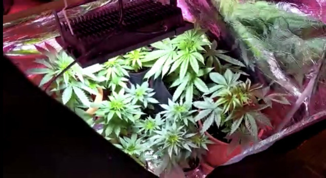 Bez dolaptaki sera polisi bile şaşkına çevirdi sevgili çift tutuklandı - Resim: 1