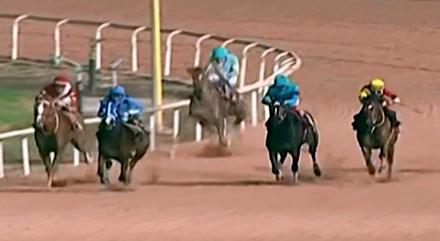 Adana'daki koşuda atın bacağı kırıldı jokey gözyaşlarına boğuldu - Resim: 0