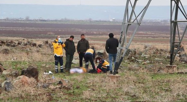Diyarbakır'da kayıp olarak aranırken ölü bulunan 23 yaşındaki Şerifa'nın ölüm nedeni belli oldu - Resim: 0