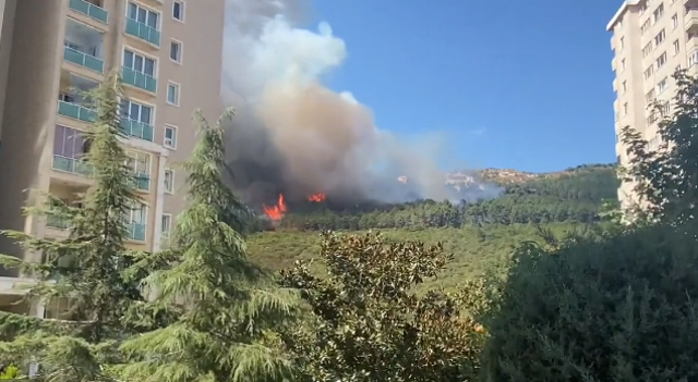 İstanbul Maltepe'de evlerin dibinde orman yangını çıktı! Evlere ulaşmadan södürüldü - Resim: 0