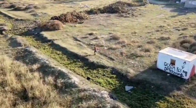 Mersin'de kaydedildi! İlk defa gördüğü drone'dan kaçmaya çalıştı - Resim: 0