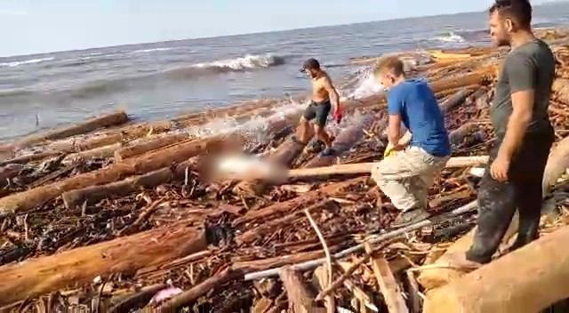 Sinop'ta tomrukların arasından cansız kadın bedeni çıktı - Resim: 0