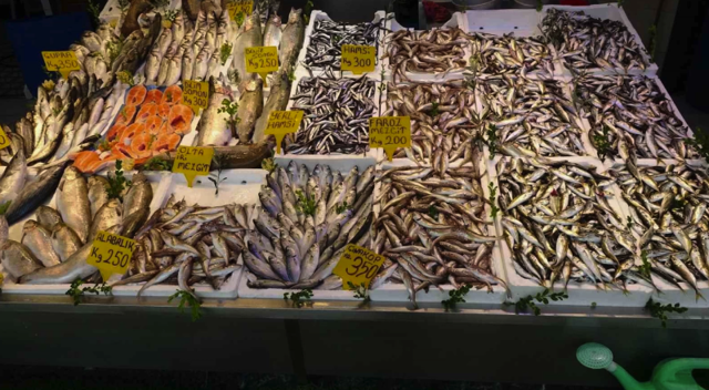 Türkiye balığa doyacak: Sofraların vitamin deposunda fiyatlar en dipte! - Resim: 0