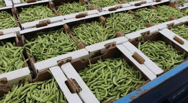 4 kilo  fasulye tam 360 bin liraya satıldı! - Resim: 1