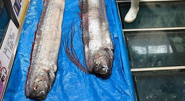 Bu görüntüler ülkeyi ayağa kaldırdı! 2011 felaketine işaret ediyor - Resim: 3