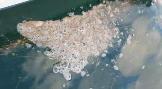 Kabus yeniden hortladı! Çanakkale Boğazı’nda müsilaj görüldü - Resim: 1