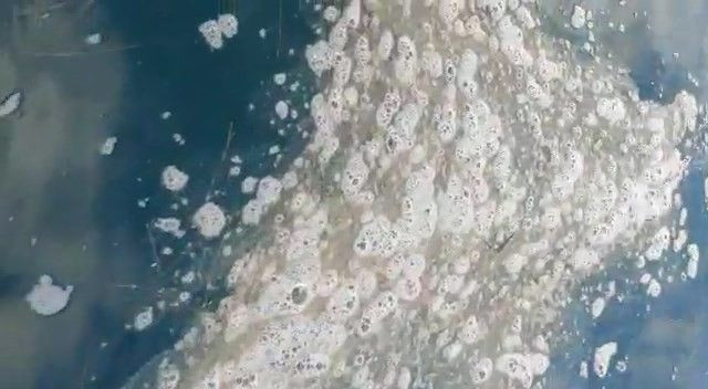 Kabus yeniden hortladı! Çanakkale Boğazı’nda müsilaj görüldü - Resim: 3