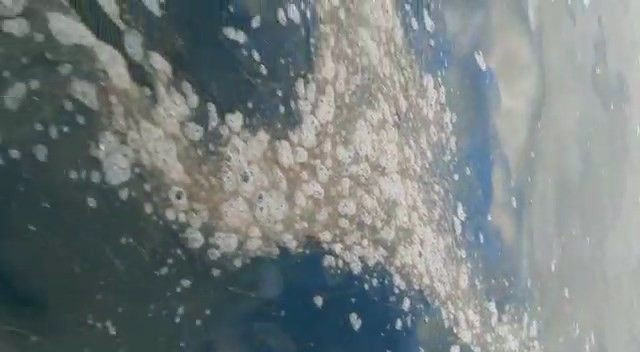 Kabus yeniden hortladı! Çanakkale Boğazı’nda müsilaj görüldü - Resim: 4