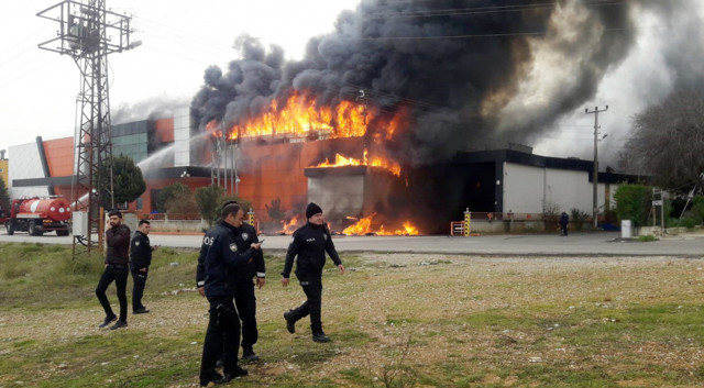 Antalya'da narenciye işleme tesisinde yangın - Resim: 0