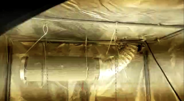 Bez dolaptaki sera polisi bile şaşkına çevirdi sevgili çift tutuklandı - Resim: 0