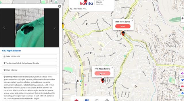 Başıboş köpek saldırılarına karşı haritalı takip - Resim: 0