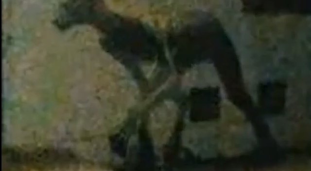 Sadece geceleri ortaya çıkıyor halk gözlerine inanamadı  - Resim: 3