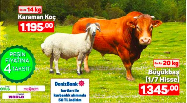 A101 kurbanlık 2019 fiyatları büyükbal/küçükbaş kaç para? - Resim: 0