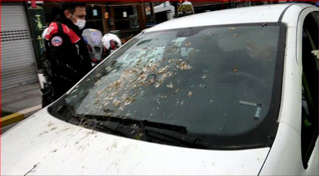 Avcılar'da kuşlar yüzünden ceza yiyen sürücü kendisini gülmekten alamadı - Resim: 2