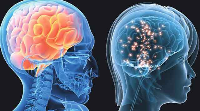 Şaşırtan araştırma! Kadınların beyni erkeklere göre... - Resim: 3