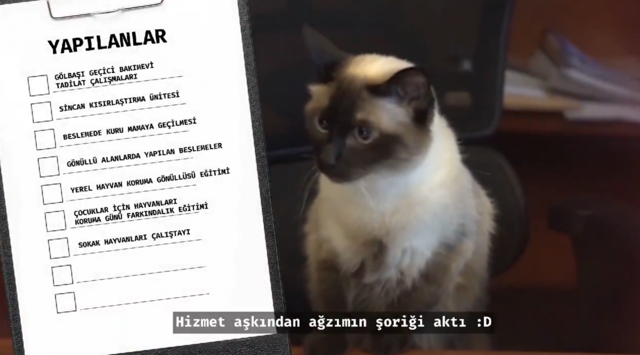 Khaleesi ile kamera karşısına geçen Yavaş: Hizmet aşkından ağzımın şoriği aktı - Resim: 0