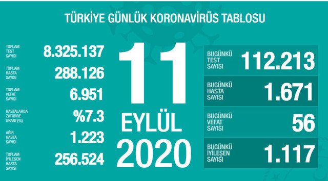 Türkiye'deki corona virüsü vaka ve ölü sayısında son durum (11 Eylül 2020) - Resim: 0