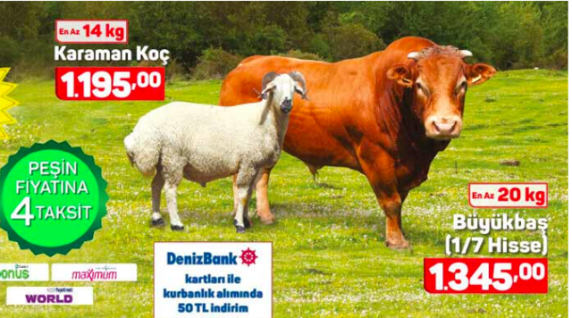 A101 kurbanlık fiyatları 2019 küçükbaş kaç paradan başlıyor? - Resim: 0