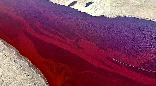 Vladimir Putin'i zıvanadan çıkaran olay! Yöneticileri çok fena azarladı - Resim: 0