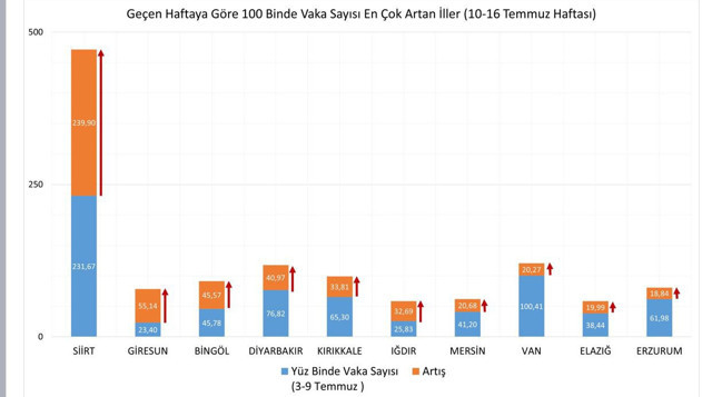Türkiye'de illere göre Covid-19 vaka sayısı! Bakan Fahrettin Koca 10- 16 Temmuz tablosunu paylaştı - Resim: 1