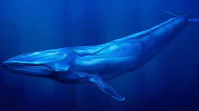 Gerçek olduğunu bilmek bile ürkütücü! İşte dünyadaki en büyük hayvanlar - Resim: 0