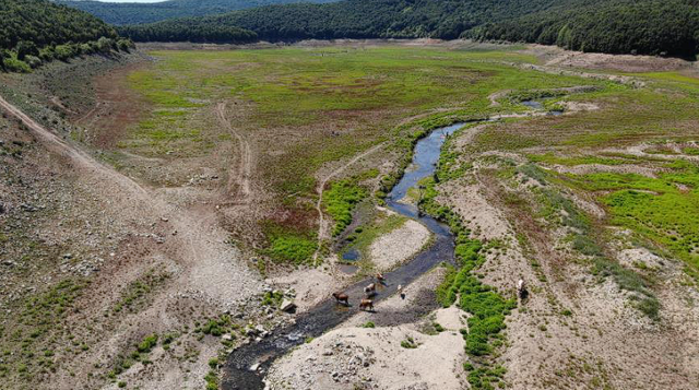 Bu fotoğraf aylar önce çekilmişti! İstanbul'da barajların son hali böyle görüntülendi - Resim: 2
