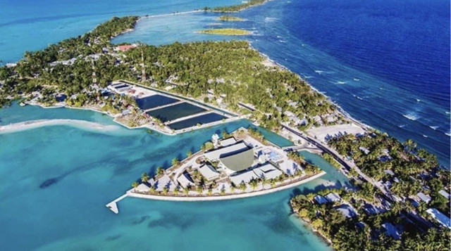 2026'ya ilk giren ülke belli oldu! Bakın hangi kıtada, nerede? - Resim: 0