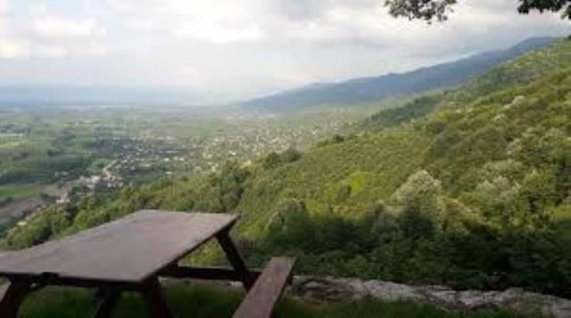 Acun Ilıcalı Dominik'i bırakıyor Survivor Türkiye'de çekilecek dendi açıklama geldi - Resim: 4