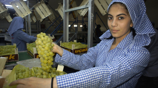 Başkan açıkladı! Yaş meyve sebze ihracatında hedef 5 milyar dolar - Resim: 1