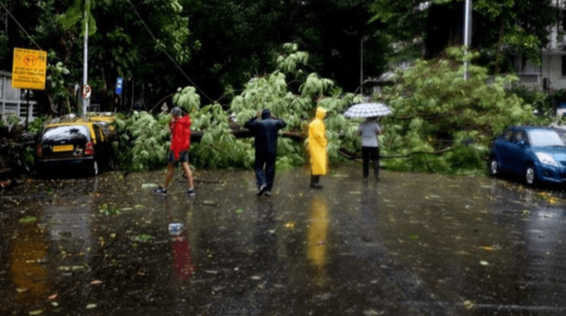 Hindistan'da yıldırım çarpması sonucu 23 kişi öldü 10 kişi yaralandı - Resim: 0