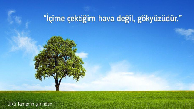 Fahrettin Koca maske müjdesini bakın hangi görselle verdi! - Resim: 0