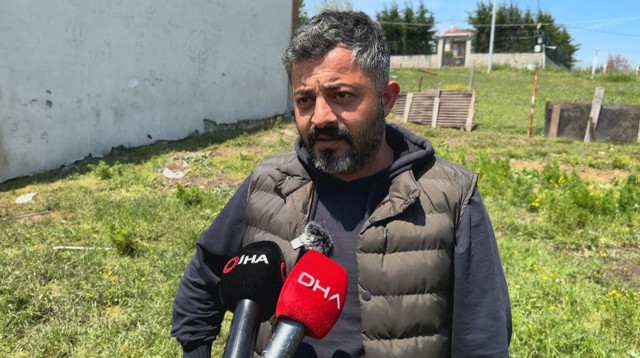 İstanbul'da sokak köpekleri, 14 kurbanlık hayvanı telef etti - Resim: 0