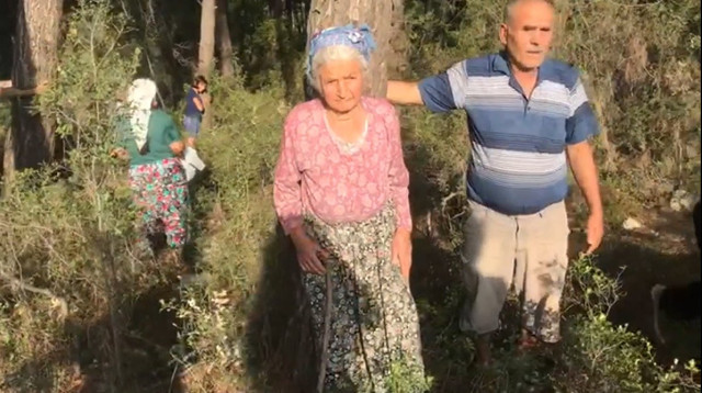 Şafak baskını ile başlamıştı... Muğla'da ağaç katliamı devam ediyor! Direnişin 3.gününde sert müdahale: Kestirmemek için ağaçlara sarıldılar! - Resim: 2