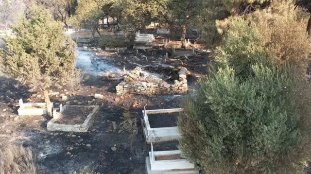 Çanakkale'deki orman yangınında son durum! Rüzgar "spot atma" yaptıkça büyüyor - Resim: 2