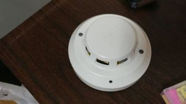 Tatile çıkan çift hayatının şokunu yaşadı içinden çıkanlara bakın - Resim: 4